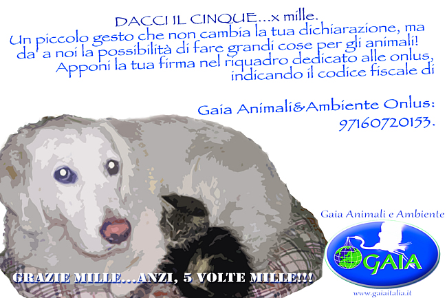 5x1000_a_gaia_italia