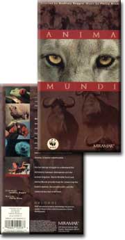 anima_mundi