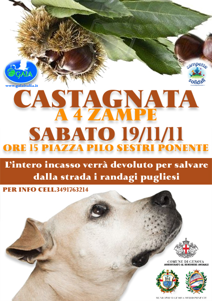 castagnata_19_11_2011