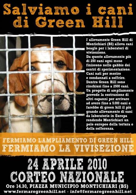 Salviamo i cani di Green Hill